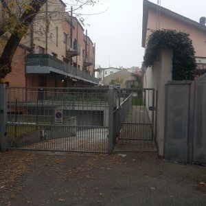 Strela